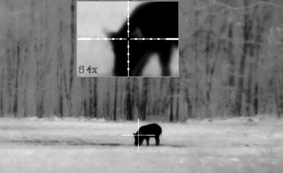 Thermal Hog Tracking